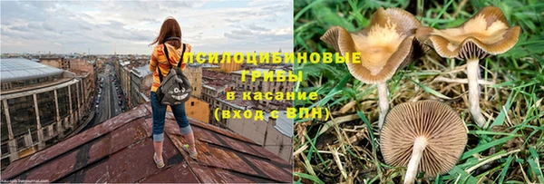 мескалин Верея