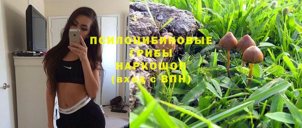 мескалин Верхний Тагил