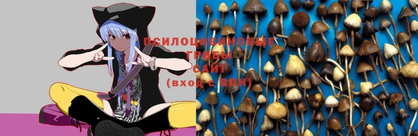 мескалин Верея