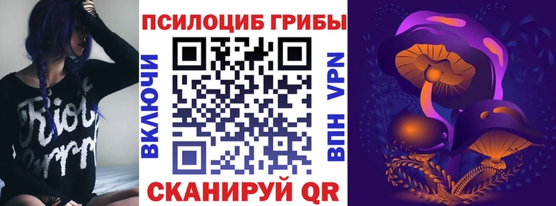 Псилоцибиновые грибы Magic Shrooms Северобайкальск