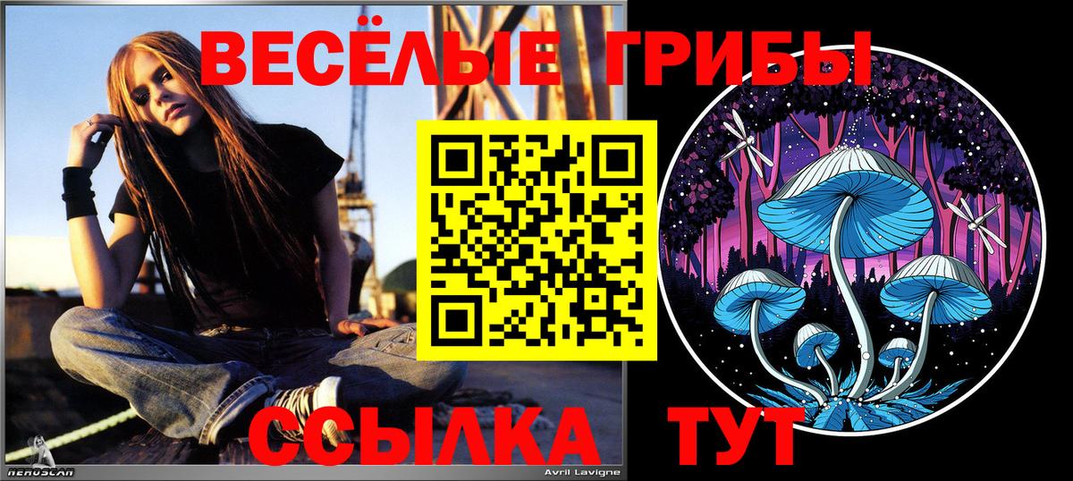 Галлюциногенные грибы Magic Shrooms  Вход с VPN  как найти закладки  Псилоцибиновые грибы Magic Shrooms  Северобайкальск 